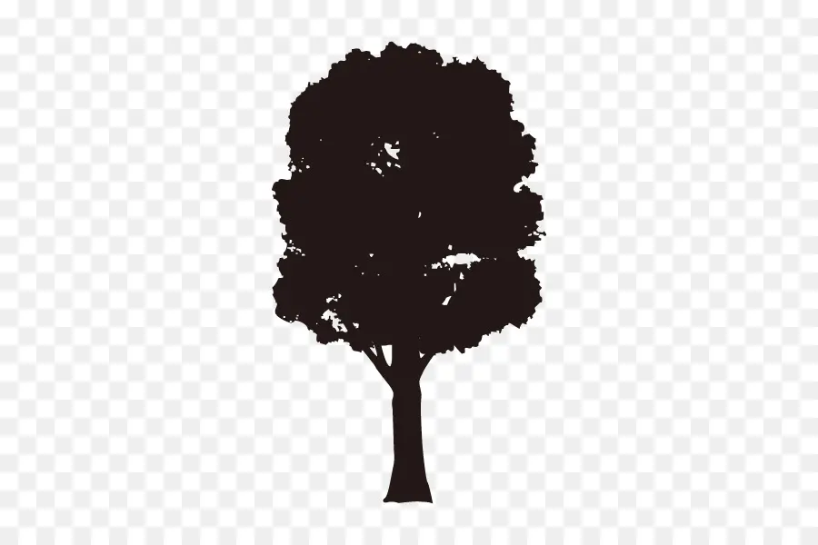 Árbol，Silueta PNG