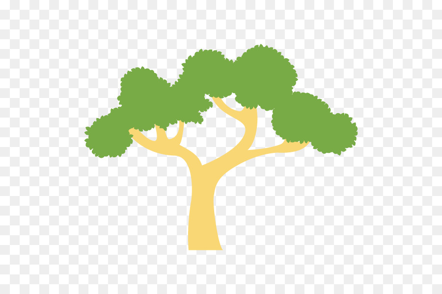 Árbol Bonsái，Árbol PNG