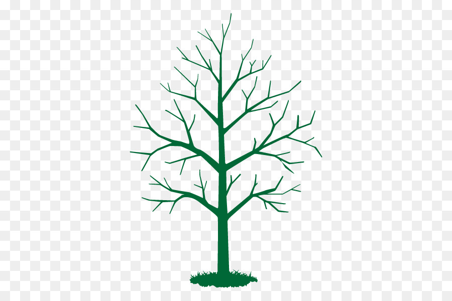 árbol Desnudo，Sucursales PNG