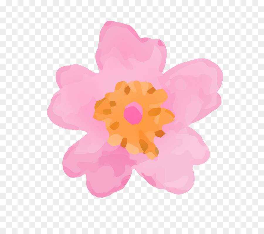 Flor Rosa，Florecer PNG