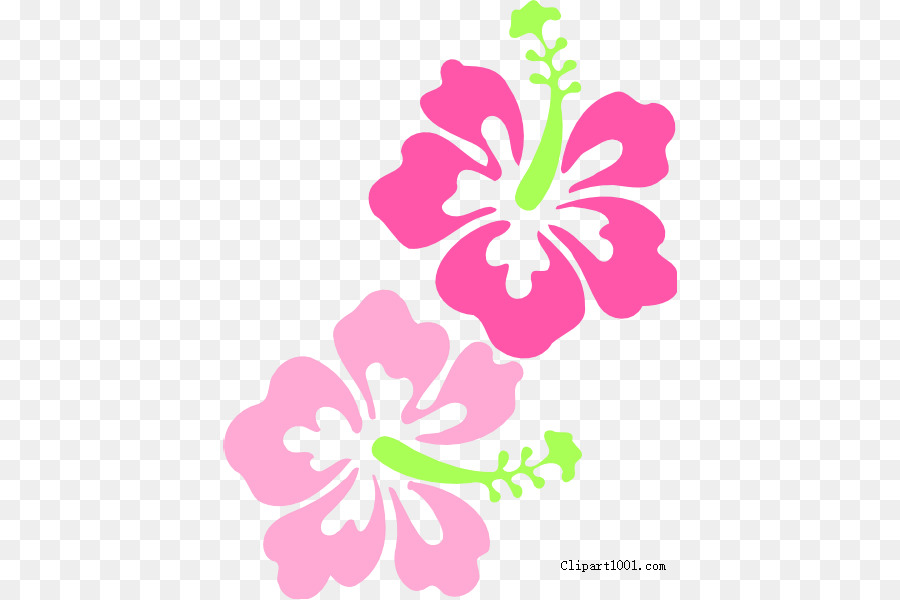 Flores Rosadas，Hibisco PNG