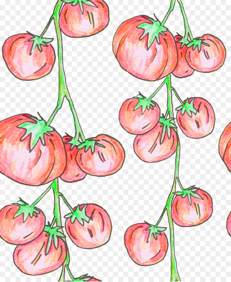 Tomate，Tallo De La Planta PNG