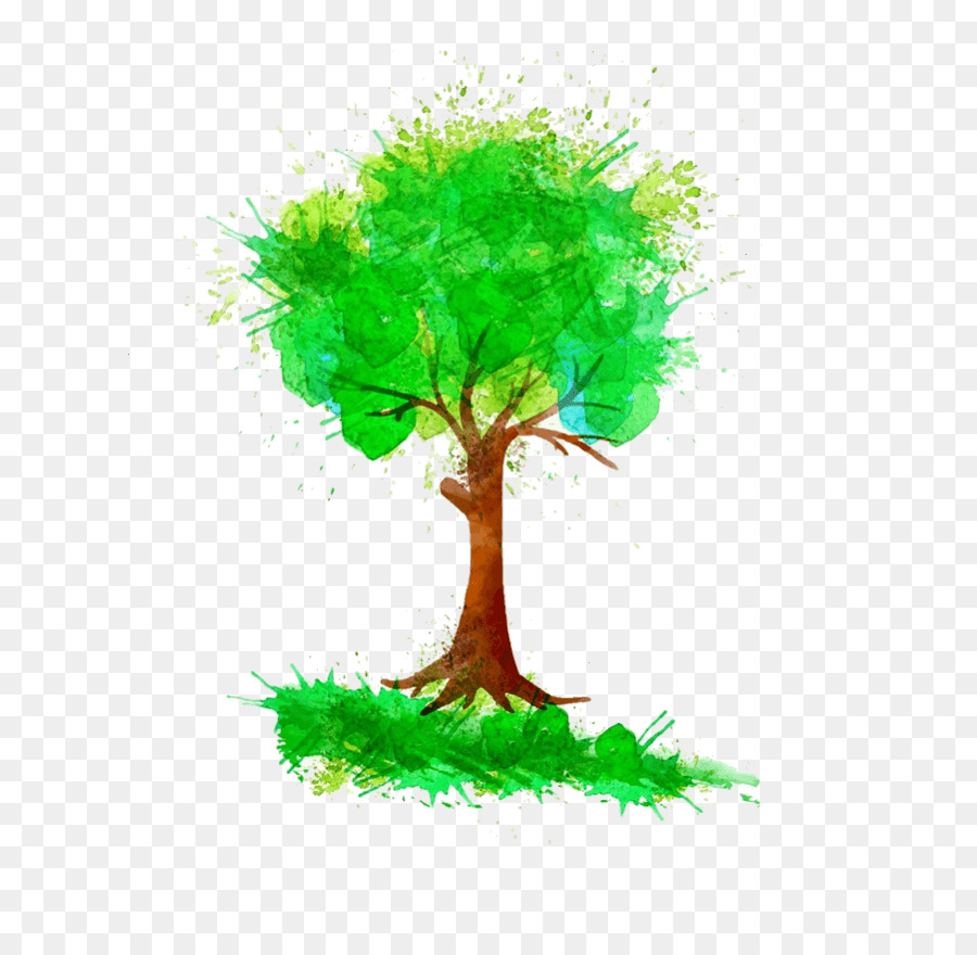 árbol De Acuarela，Naturaleza PNG