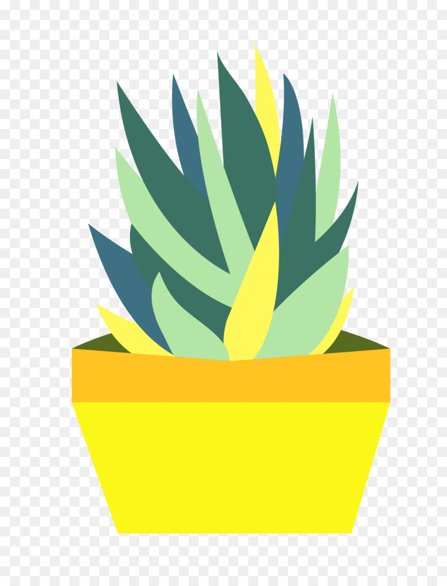 Cactus，Planta Suculenta PNG