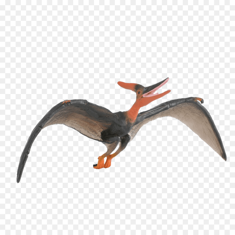 Pteranodon，Tyrannosaurus PNG