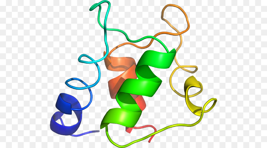 Estructura Proteica，Molécula PNG