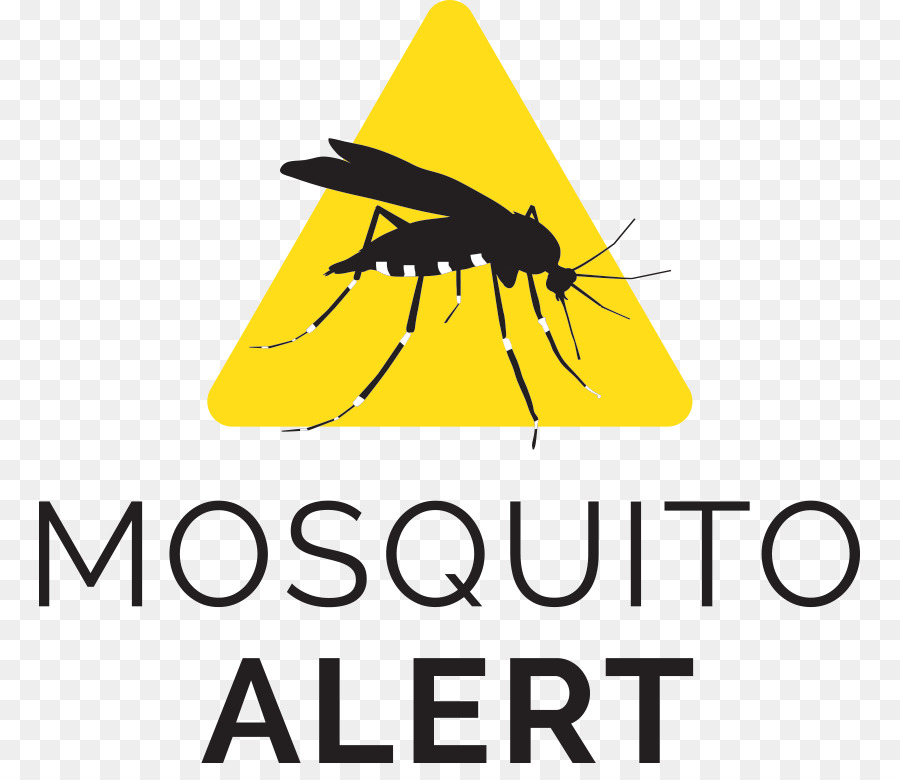 Mosquito Tigre Asiático，El Control De Los Mosquitos PNG