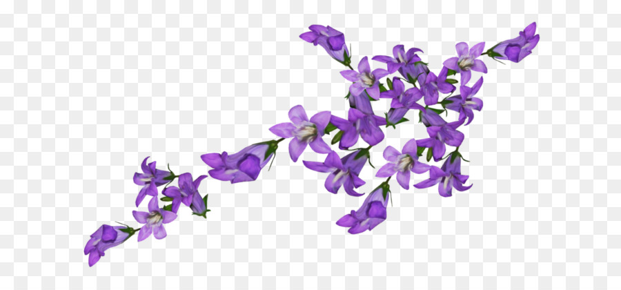 Flores Moradas，Enredadera PNG