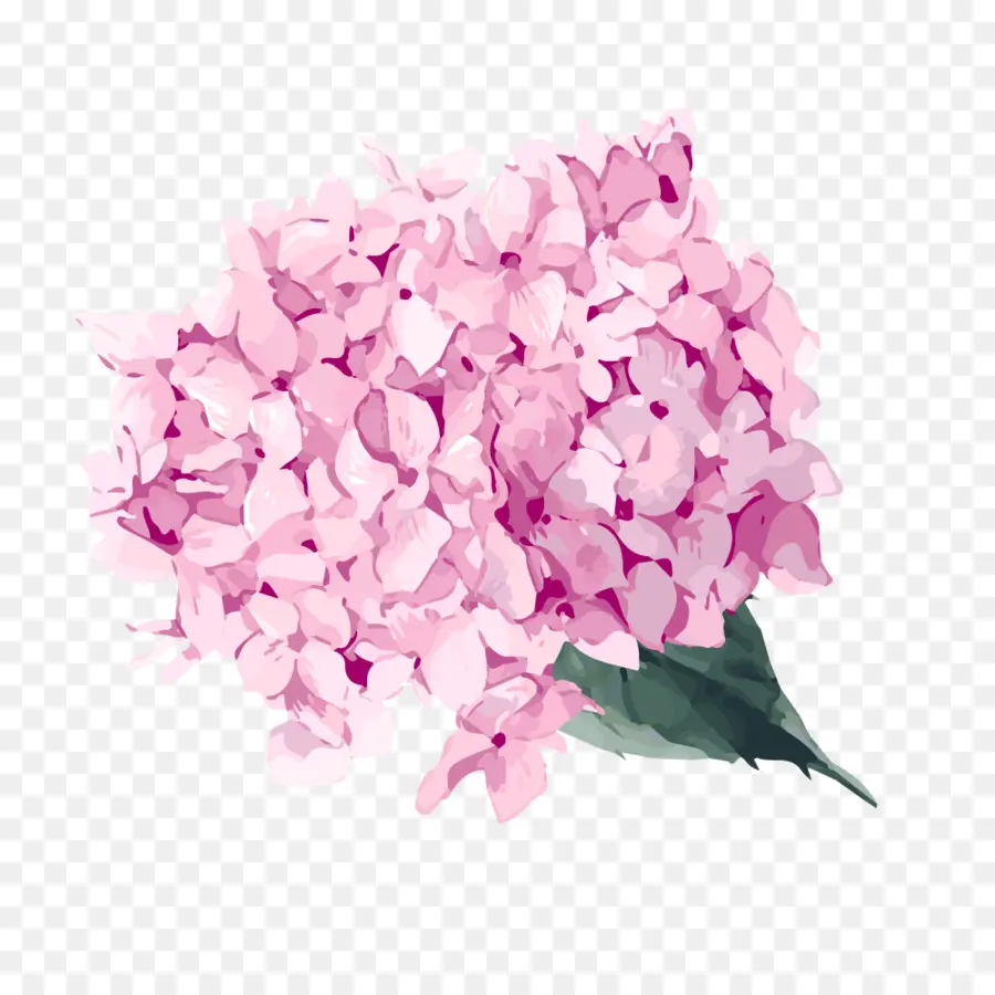 Flores Rosadas，Ramo PNG