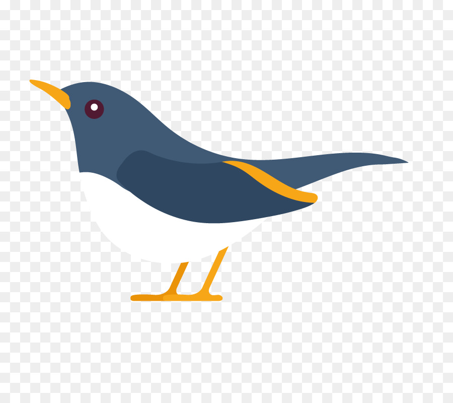 Pico，Aves PNG