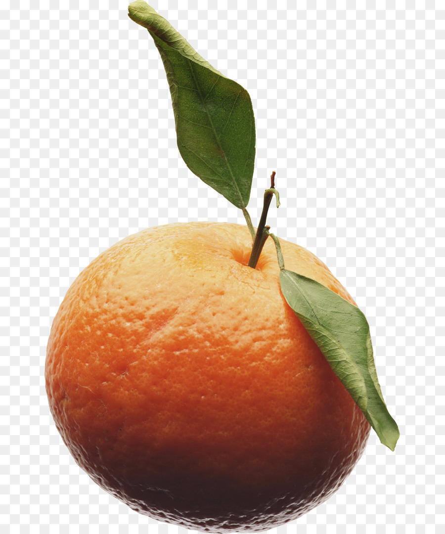 Naranja，Agrios PNG