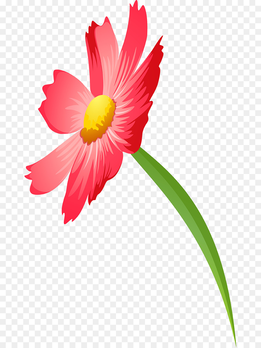 Flores Rosadas，Florecer PNG