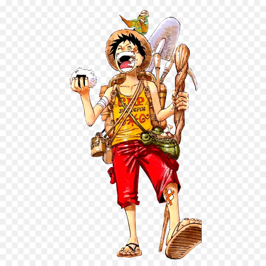 Video，Monkey D Luffy PNG