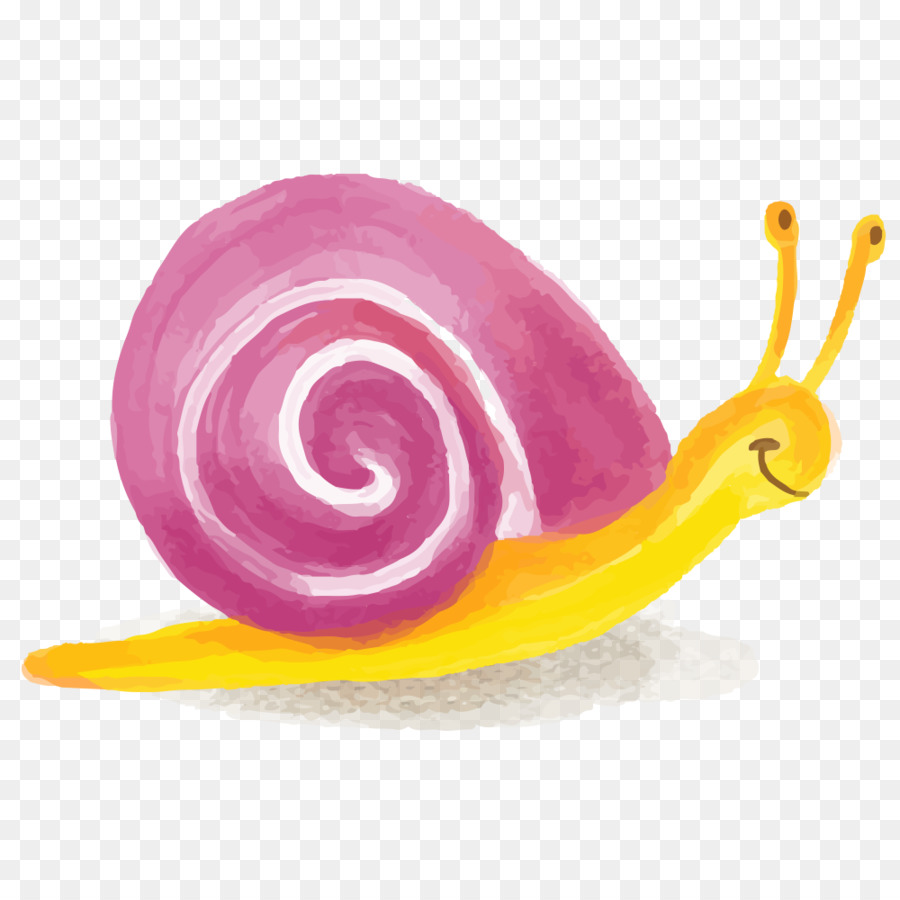 Caracol，Molusco PNG