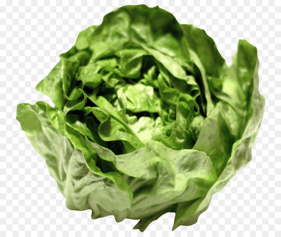 Sándwich De Lechuga，Cultivo De Lechuga PNG