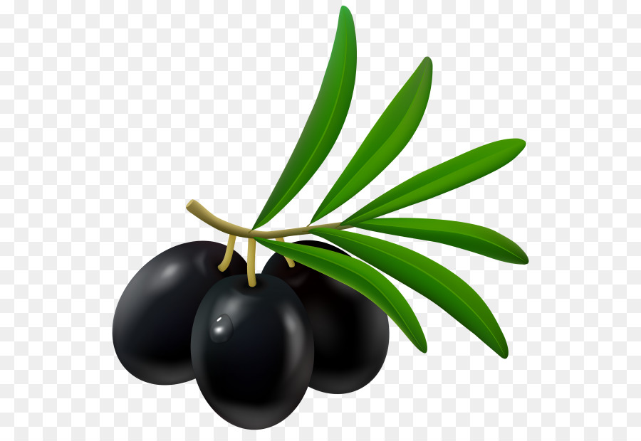 Aceitunas Negras，Rama PNG