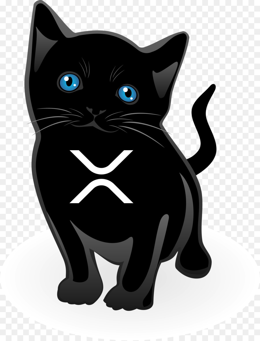 Gatito，Gato Negro PNG