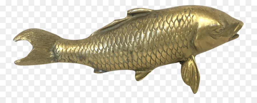 Los Peces，La Carpa PNG