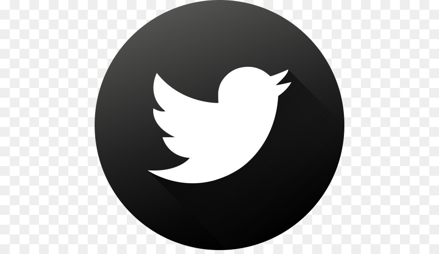 Logotipo De Twitter，Pájaro PNG