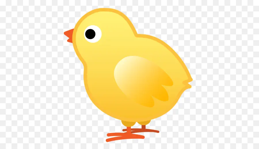 Pollo，Aves PNG