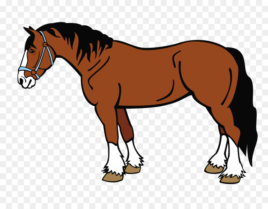 Caballo，Equino PNG