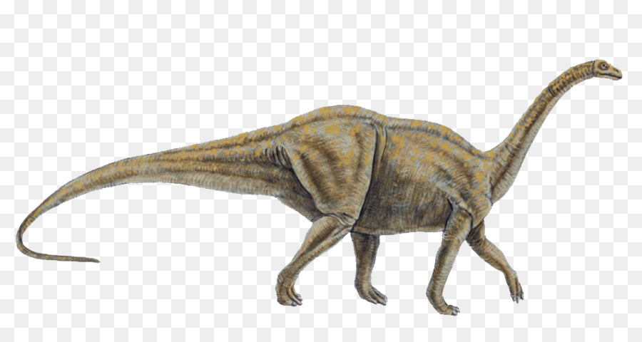 Allosaurus，Tyrannosaurus PNG