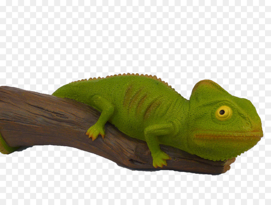 Común Iguanas，Los Camaleones PNG