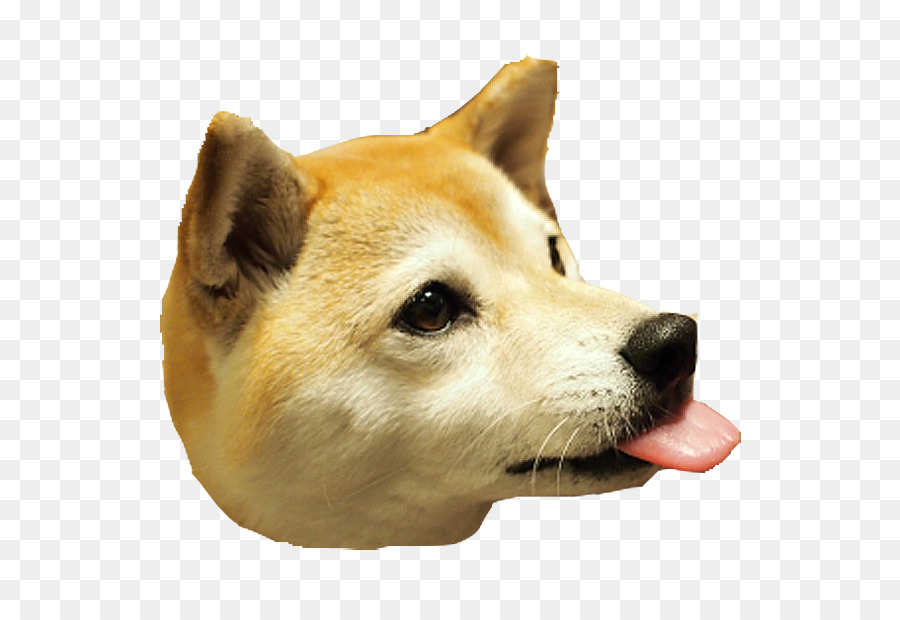 Shiba Inu，Instagram PNG