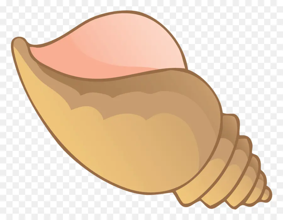 Concha，La Concha PNG