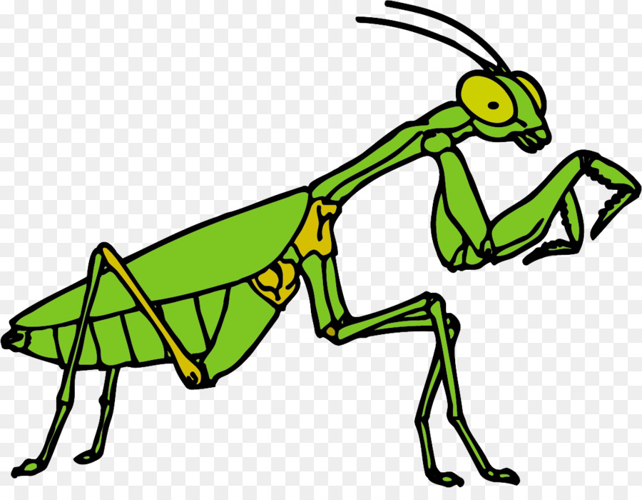 Los Insectos，Mantis PNG