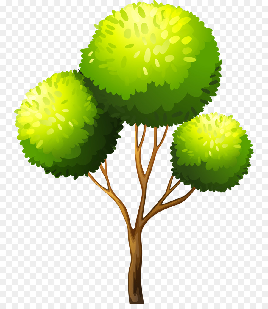 Árbol，Verde PNG