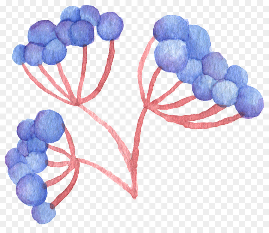 Pintura A La Acuarela，La Fruta PNG