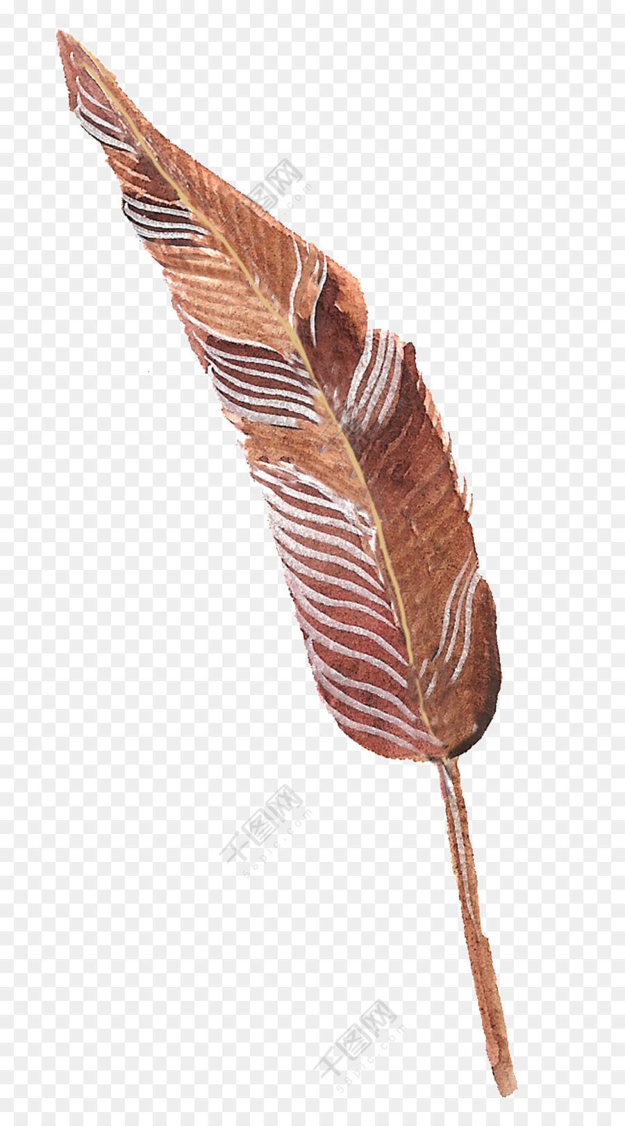 Pluma，Descargar PNG