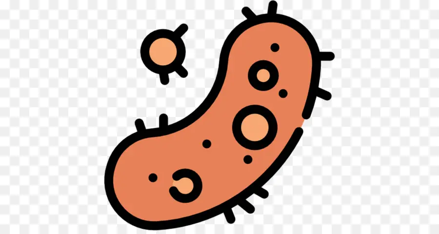 Bacteria，Microbio PNG