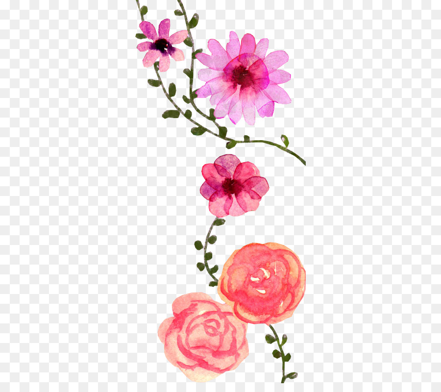 Diseño Floral，Arte PNG