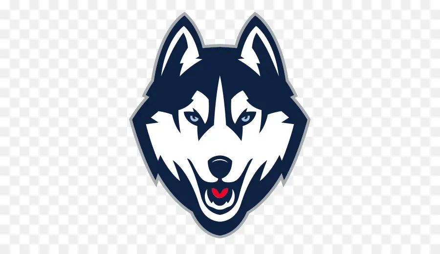 La Universidad De Connecticut，Connecticut Huskies Baloncesto Para Hombre PNG