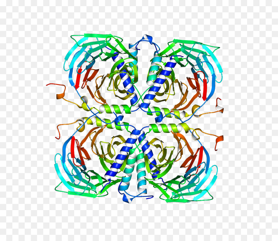 Diseño Gráfico，Arte De Línea PNG