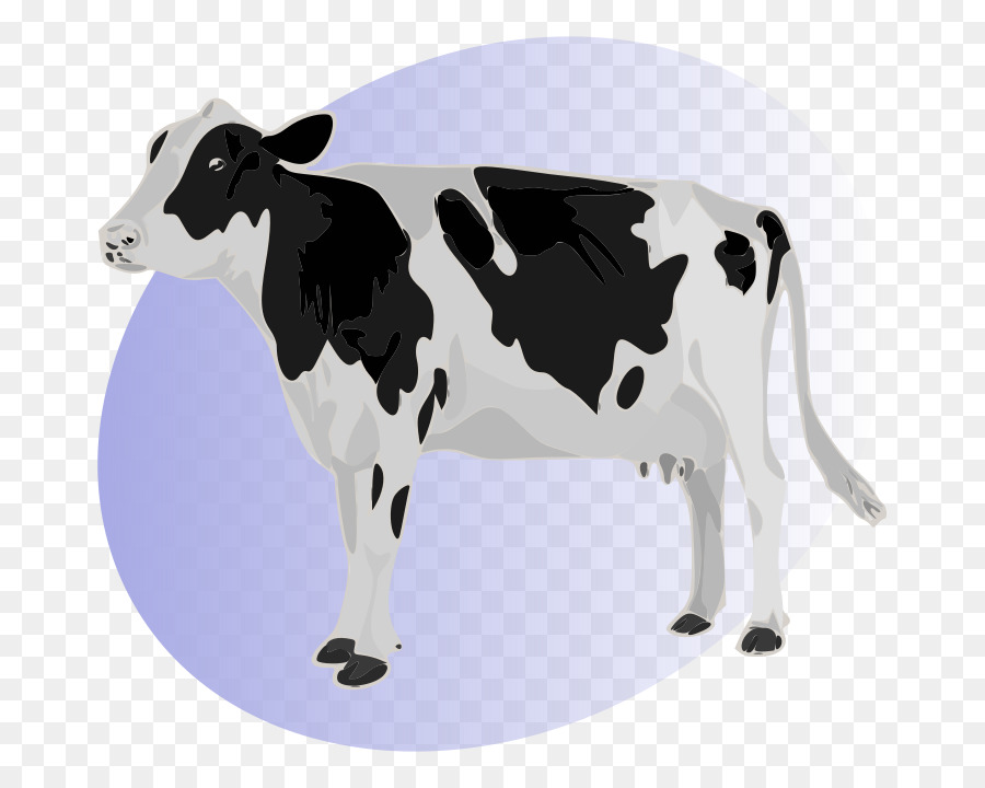 Ganado Holstein Friesian，Una Fotografía De Stock PNG