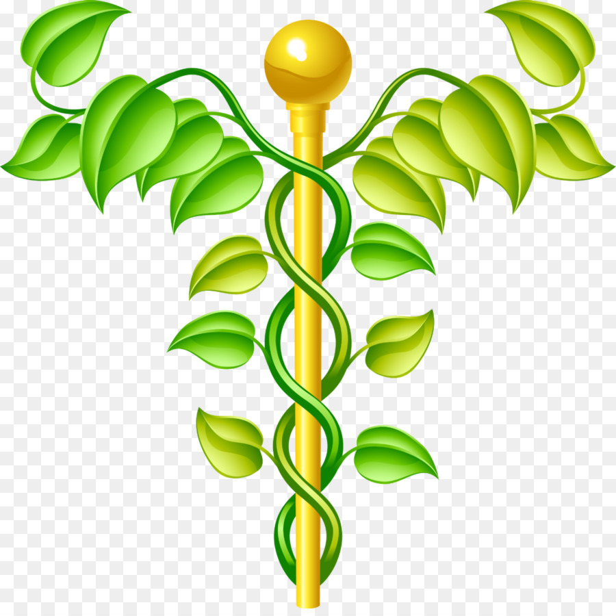 Alternativa De Servicios De Salud，Medicina PNG