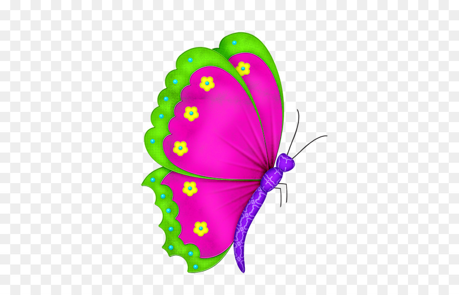 Dibujo，Mariposa PNG