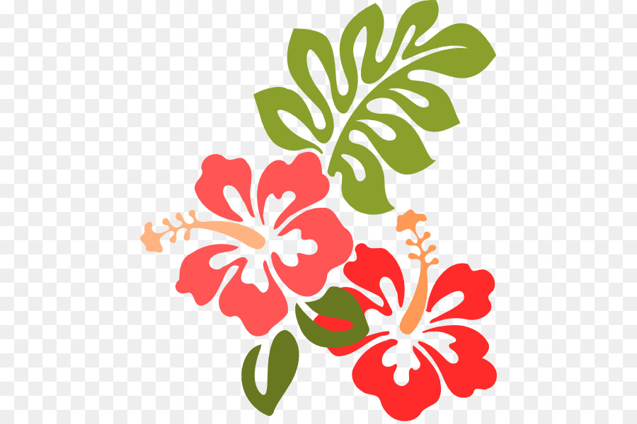 Hibiscus Hawaiian，Hibiscus Amarillo PNG