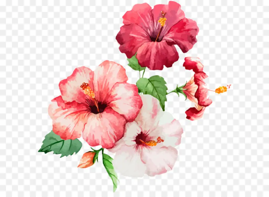 Acuarela De Flores，Pintura A La Acuarela PNG