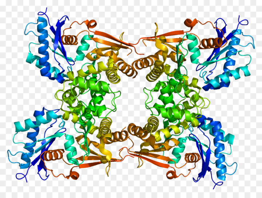 Nacetyldglucosamine Quinasa，Quinasa PNG