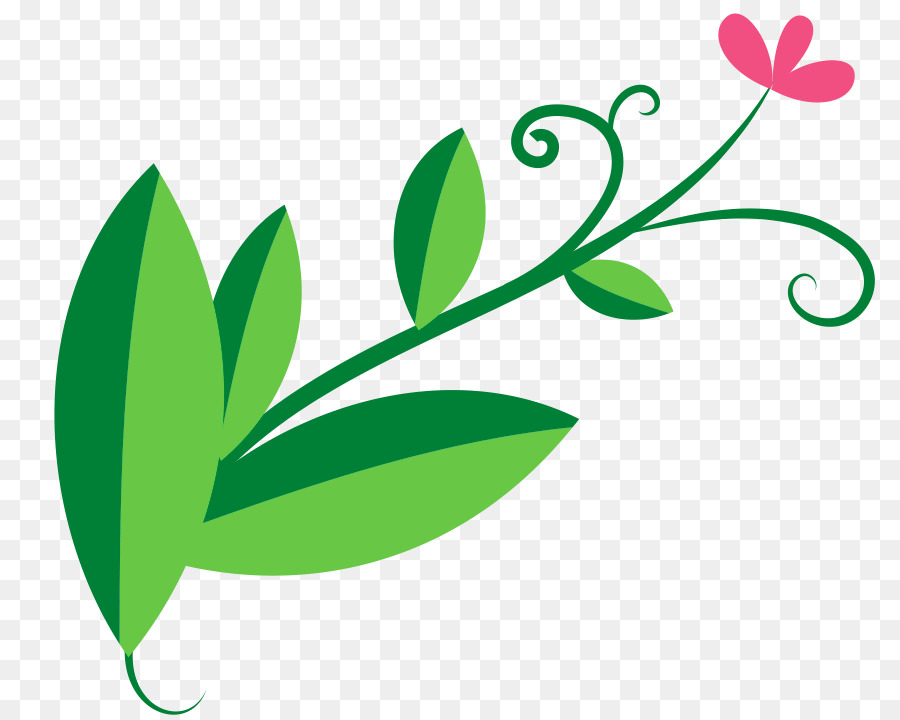 Flores Rosadas，Florecer PNG