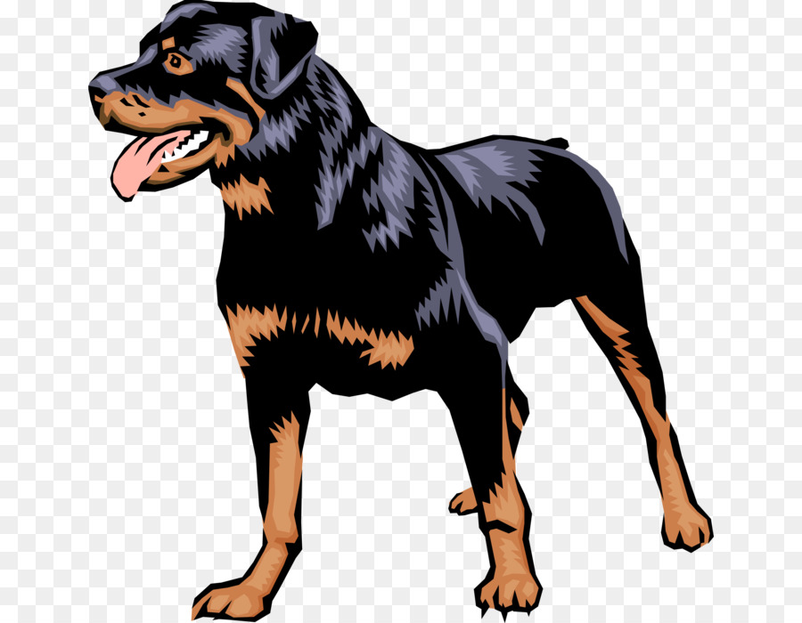 Rottweiler，Dobermann PNG