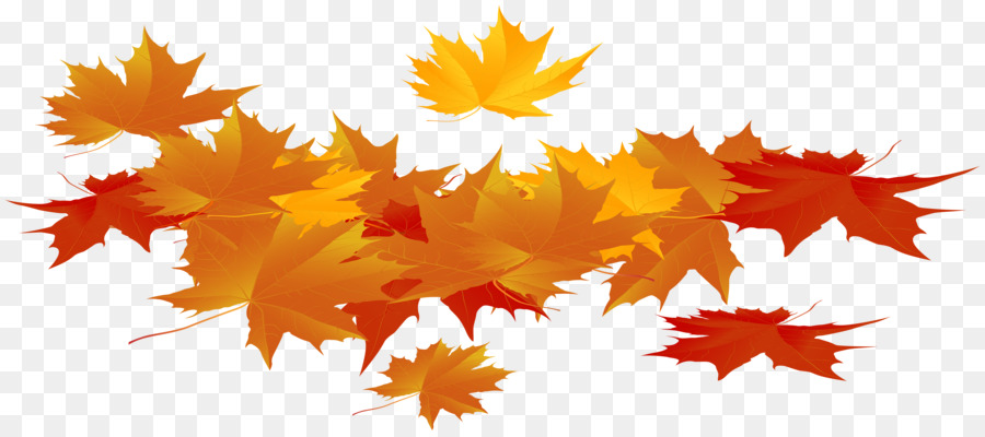 Otoño，Fondo De Escritorio PNG