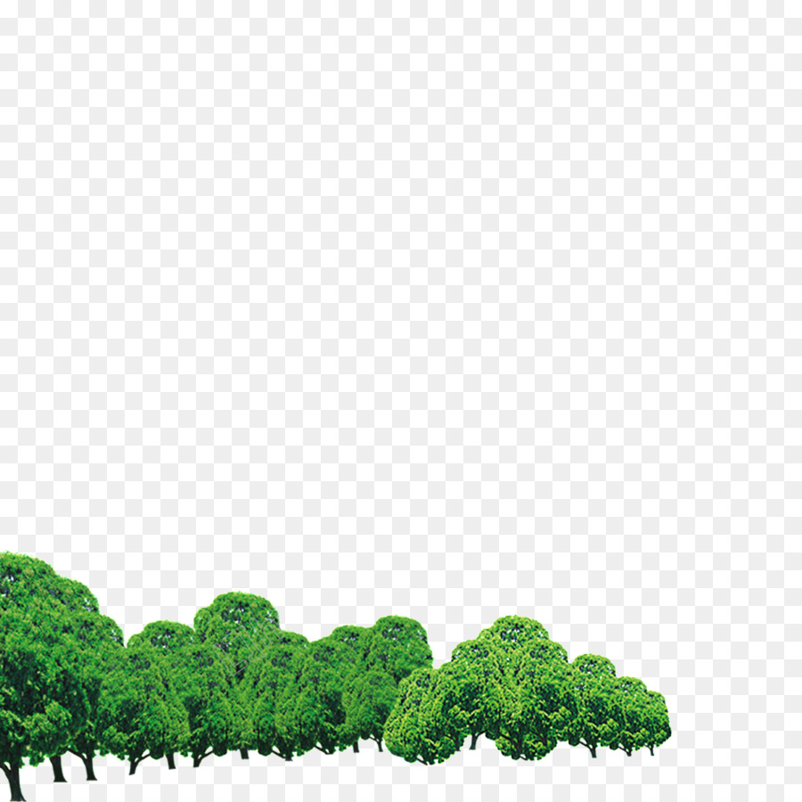 Paisaje，Árboles PNG