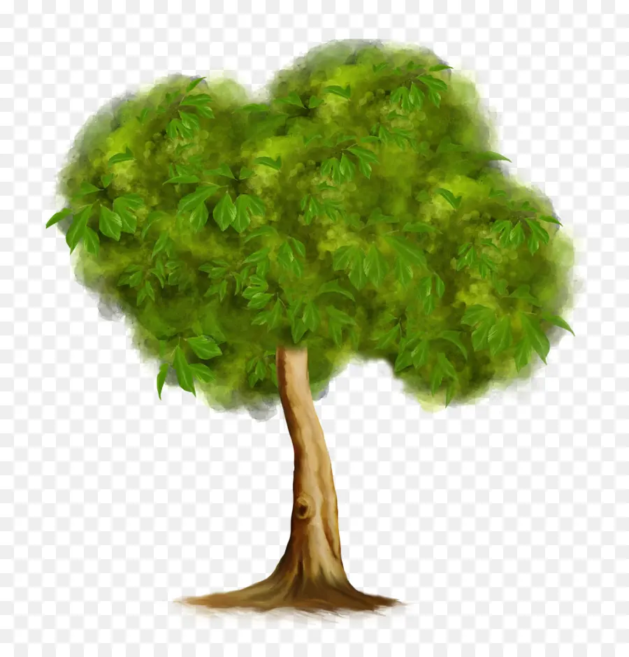 Árbol，Verde PNG