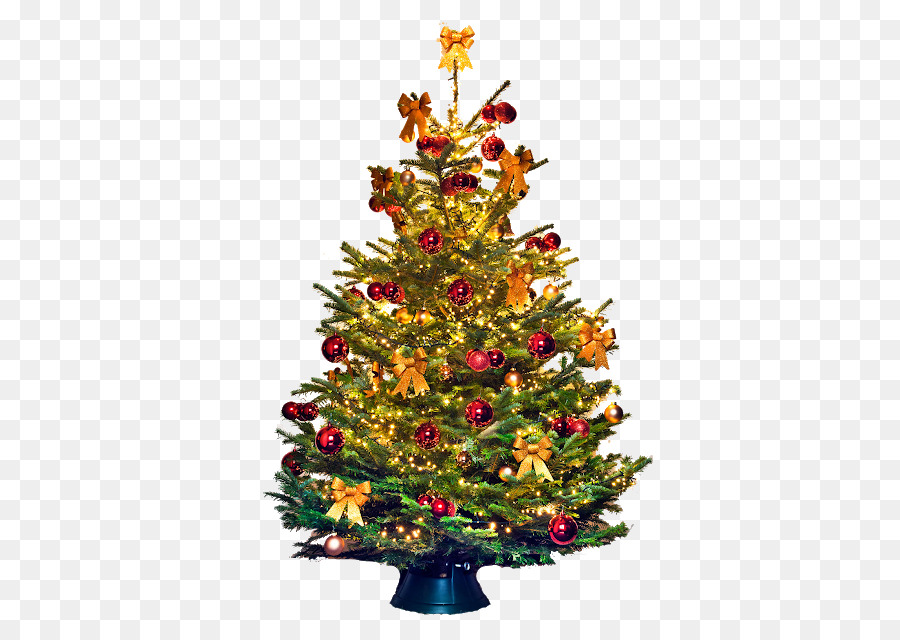 árbol De Navidad，Christmas Day PNG