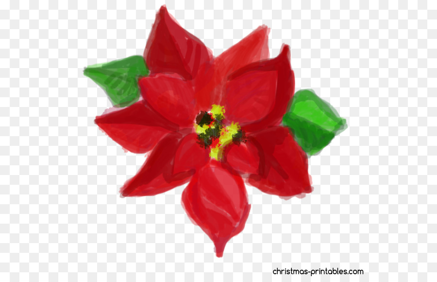 Acuarela De Flores，Pintura A La Acuarela PNG